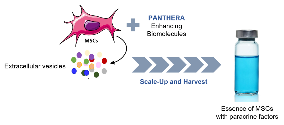 EXTRACELLULAR VESICLES