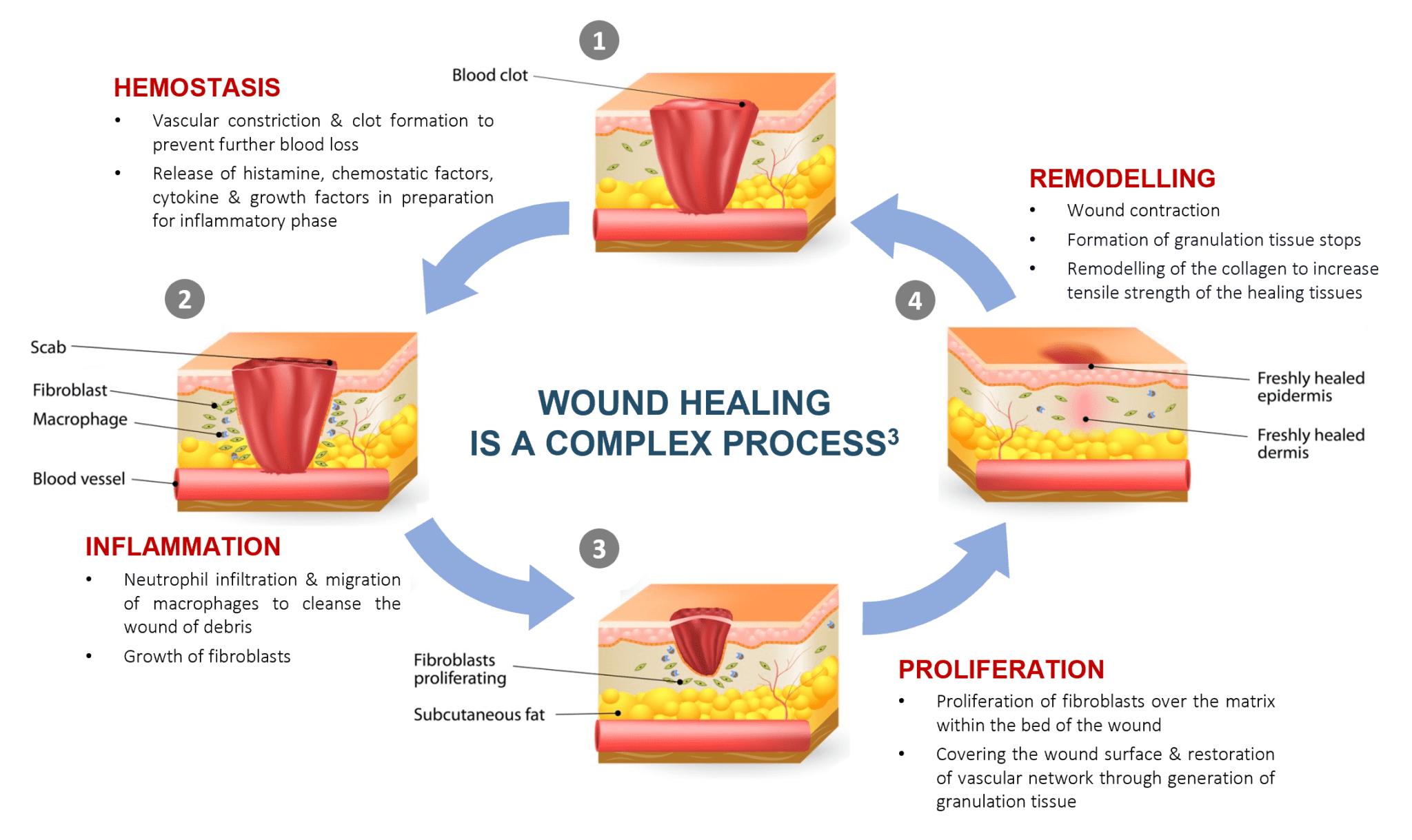 Wound Care - Panthera Labs