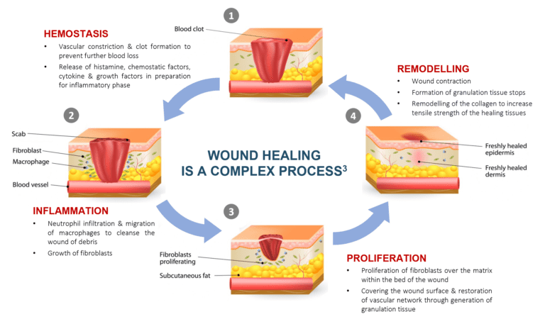 Wound Care - Panthera Labs